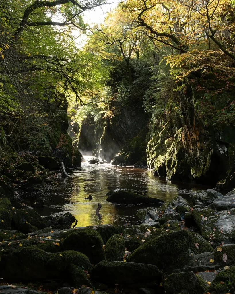 Woodland waterfall and rocky stream framed by moss-covered rocks and trees in autumn light.
